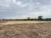 3181 Bonshaw Road, Bonshaw, NSW 2361-Image