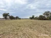 3181 Bonshaw Road, Bonshaw, NSW 2361-Image