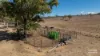 3181 Bonshaw Road, Bonshaw, NSW 2361-Image