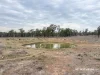 3181 Bonshaw Road, Bonshaw, NSW 2361-Image