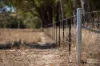 3181 Bonshaw Road, Bonshaw, NSW 2361-Image