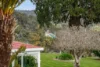 31817 Tasman Highway, Derby, Tas 7264-Image