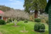 31817 Tasman Highway, Derby, Tas 7264-Image