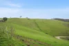 31817 Tasman Highway, Derby, Tas 7264-Image