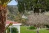 31817 Tasman Highway, Derby, Tas 7264-Image