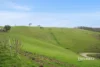 31817 Tasman Highway, Derby, Tas 7264-Image