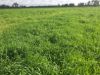 31850 Cunningham Highway, Goondiwindi QLD 4390-Image