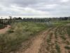 31850 Cunningham Highway, Goondiwindi QLD 4390-Image