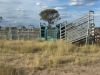 31850 Cunningham Highway, Goondiwindi QLD 4390-Image