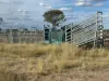 31850 Cunningham Highway, Goondiwindi QLD 4390-Image