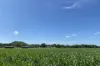 32 McKeown Road, East Barron, Qld 4883-Image