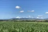 32 McKeown Road, East Barron, Qld 4883-Image