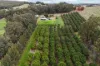 320 Mitchell Road, Newlands, WA 6251