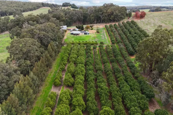 320 Mitchell Road, Newlands, WA 6251