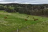 320 Mitchell Road, Newlands, WA 6251-Image
