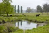 3214 Mount Mitchell Road, Glencoe NSW 2365-Image
