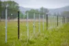 3214 Mount Mitchell Road, Glencoe NSW 2365-Image