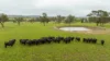 3214 Mount Mitchell Road, Glencoe NSW 2365-Image
