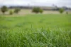 3214 Mount Mitchell Road, Glencoe NSW 2365-Image