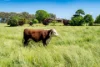3223 Riverina Highway, Bungowannah, NSW 2640-Image