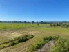 323 McLarty Road, Uduc, WA 6220-Image