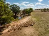 326 Downside Road, Downside, NSW 2650-Image
