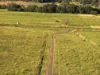 33 Eggins Road, Doubtful Creek, NSW 2470-Image