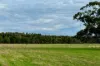 331 Nehill & Alexanders Road, South Purrumbete, Vic 3260-Image