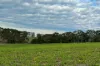 331 Nehill & Alexanders Road, South Purrumbete, Vic 3260-Image