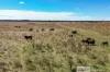 338 Pooles Road, Hatherleigh, SA 5280-Image