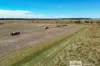 338 Pooles Road, Hatherleigh, SA 5280-Image