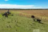 338 Pooles Road, Hatherleigh, SA 5280-Image