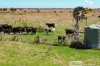 338 Pooles Road, Hatherleigh, SA 5280-Image
