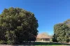 341 Quinwindup Road, Orchid Valley, WA 6394-Image