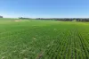 341 Quinwindup Road, Orchid Valley, WA 6394-Image