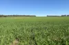 341 Quinwindup Road, Orchid Valley, WA 6394-Image