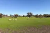 341 Quinwindup Road, Orchid Valley, WA 6394-Image