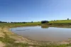 341 Quinwindup Road, Orchid Valley, WA 6394-Image