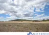 341 Sisson Road, Gunnedah, NSW 2380-Image