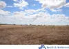341 Sisson Road, Gunnedah, NSW 2380-Image