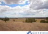 341 Sisson Road, Gunnedah, NSW 2380-Image