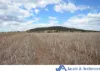 341 Sisson Road, Gunnedah, NSW 2380-Image