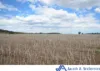 341 Sisson Road, Gunnedah, NSW 2380-Image