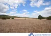 341 Sisson Road, Gunnedah, NSW 2380-Image
