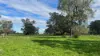 3418 Castlereagh Highway, Breelong, NSW 2827-Image