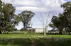 3418 Castlereagh Highway, Breelong, NSW 2827-Image