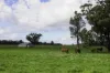 3418 Castlereagh Highway, Breelong, NSW 2827-Image