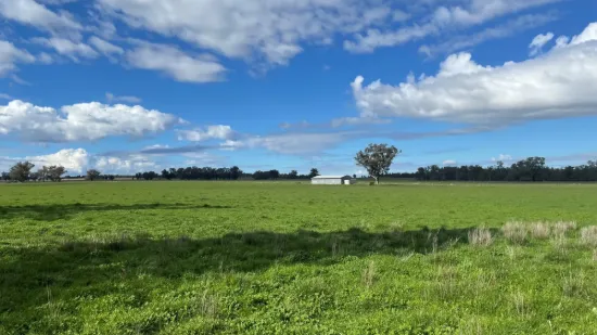 3418 Castlereagh Highway, Breelong, NSW 2827-Image