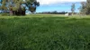 3418 Castlereagh Highway, Breelong, NSW 2827-Image