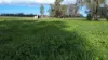 3418 Castlereagh Highway, Breelong, NSW 2827-Image